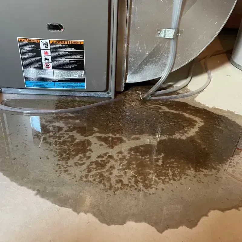 Appliance Leak Cleanup in Heidelberg, TX